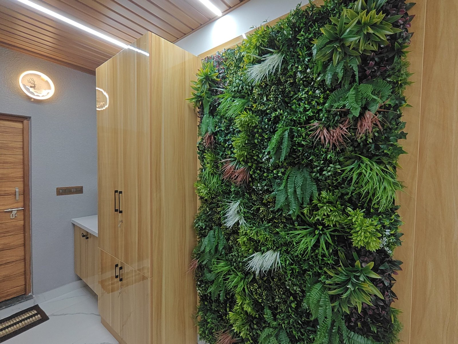 WhatsApp Image 2025-02-28 at 11.47.08 AM (1)